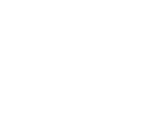 305ELAB